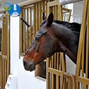 Horse stall misting System odor control